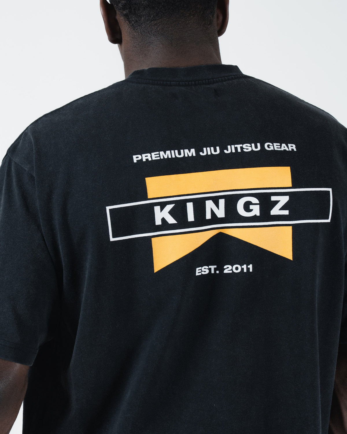 Kingz Flag Men's Tee