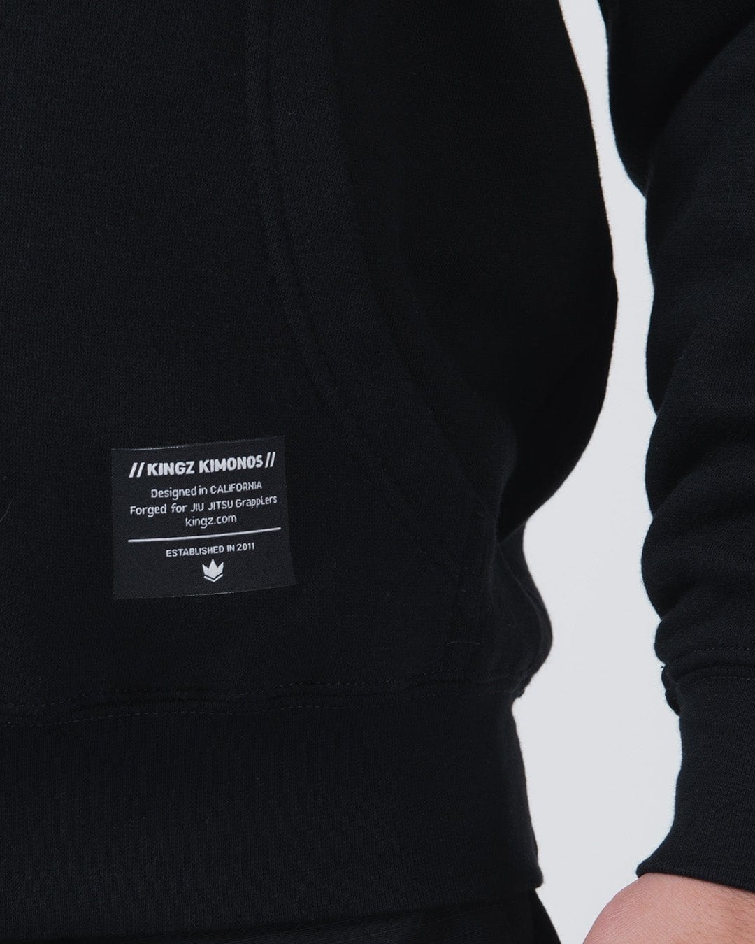 Kingz Ascend Men's Hoodie
